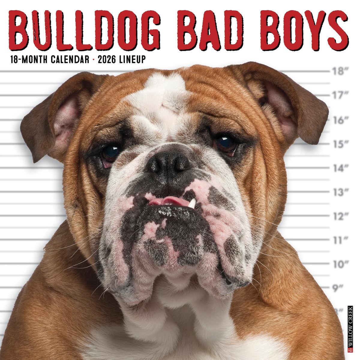 Bulldog Bad Boys Calendar 2026 - Dogs - Month To View