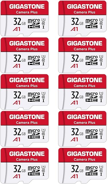 Gigastone 32GB 10-Pack Micro SD Card with 2x SD Adapter + 4x Mini-case, Camera Plus, Nintendo-Switch Compatible, High Speed 90MB/s, Full HD Video Recording, Micro SDHC UHS-I A1 Class 10