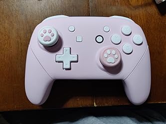 Amazon.com: eXtremeRate Cherry Blossoms Pink Faceplate Backplate ...