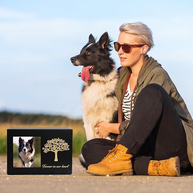 Foto 6 de 8 de DiDiBirDi Urnas para Mascotas para Perro o Gato