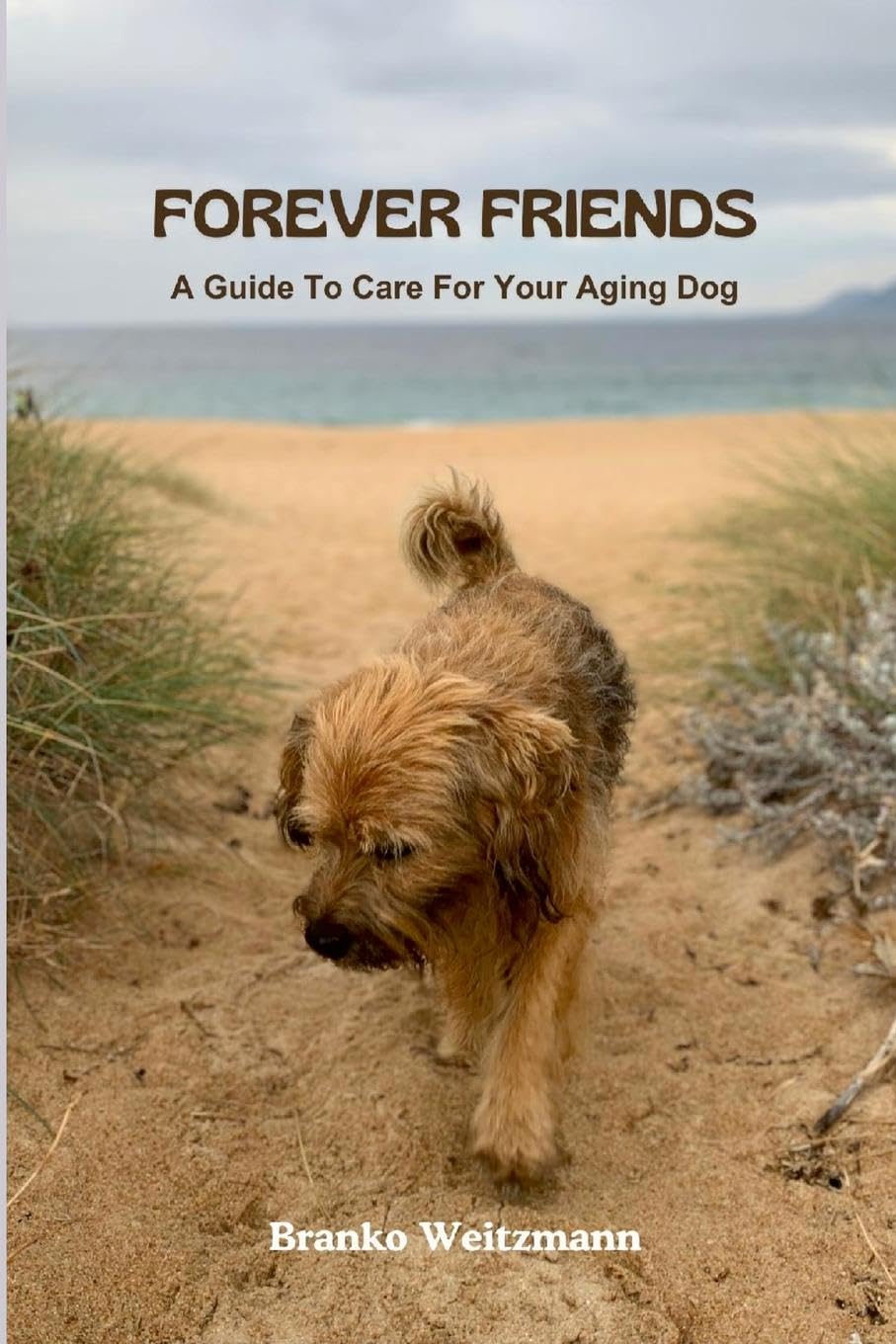 Forever Friends: A Guide to Care for Your Aging Dog