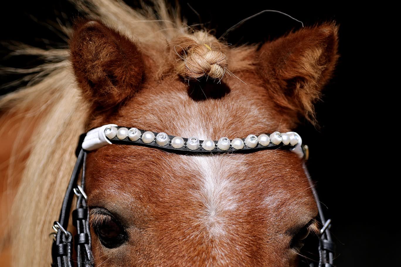 Tysons Breeches Black SIS Leder Trense Für Shetty, Minishetty & Falabella – Mit Glitzer-Lackdetails & Weicher Unterlegung