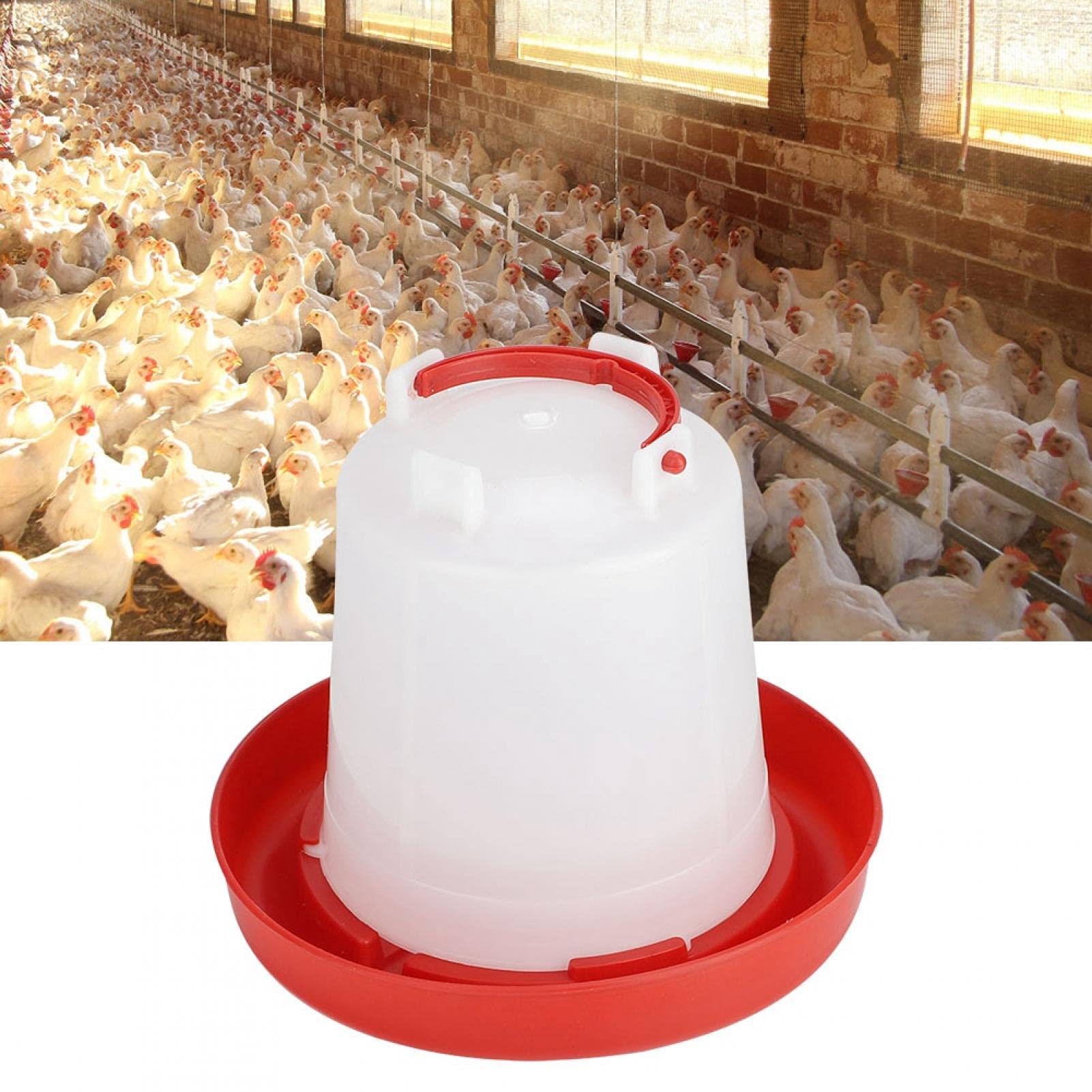 Produktbild von Küken-Futterautomat & Tränke – Anti-Ertrink-Design, Automatische Nachfüllung, Für Hühner, Enten & Tauben (PP, 160 Ml Fassungsvermögen)