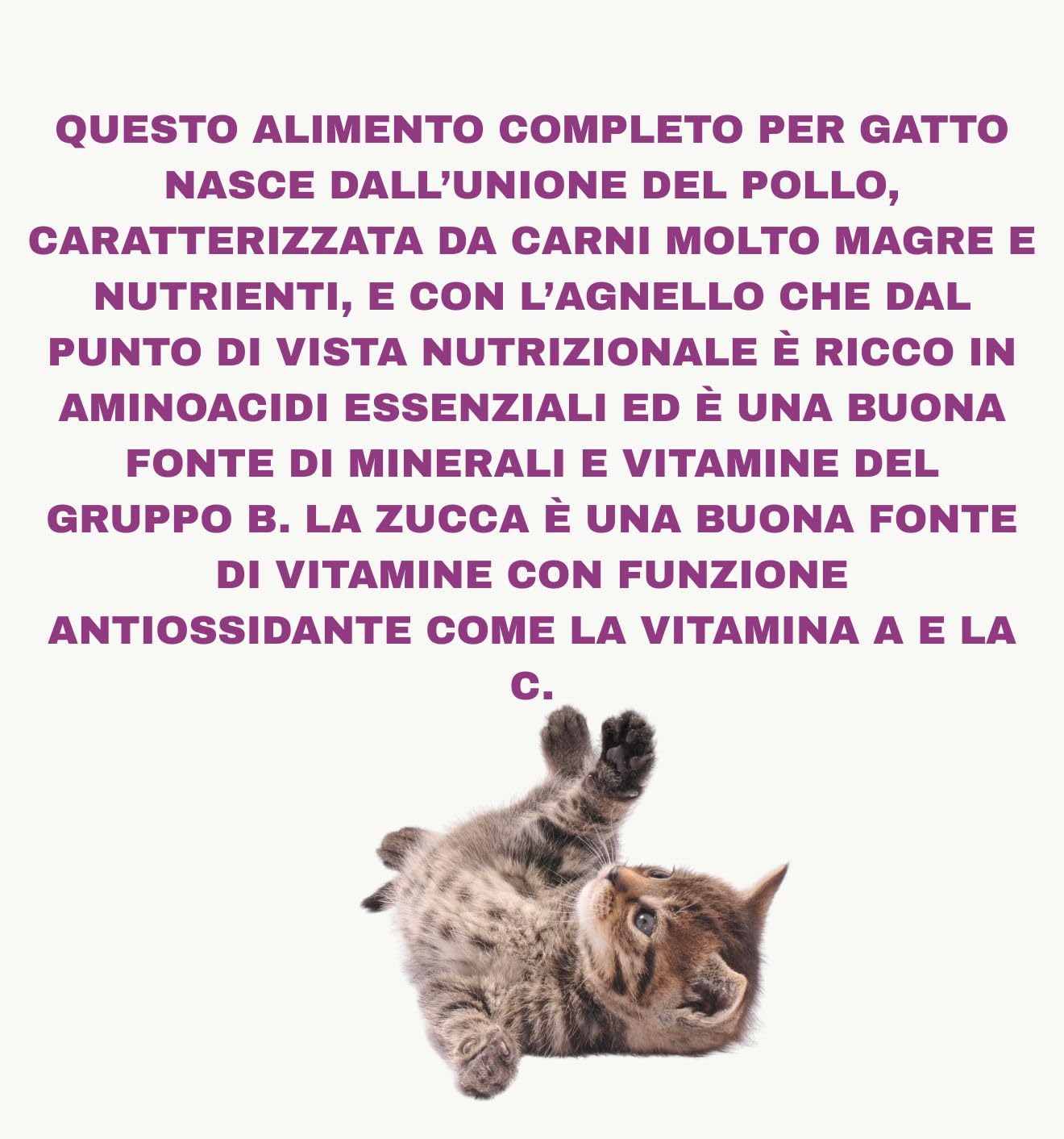 Natural Code húmedo para gatos adultos, sabor pollo y cordero, número C05, suaves sacapuntas en agua de cocción para gatos adultos de todas las tallas, altamente digerible | 12 sobres de 70 gramos