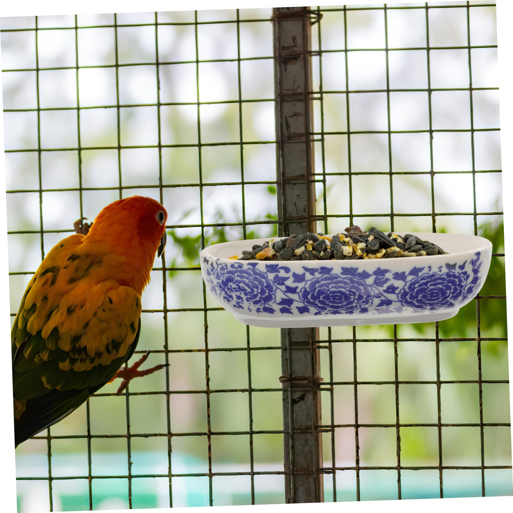 SUPVOX 10piezas Bañera De Pájaros Bañera De Plástico para Periquitos y Aves Segura Bordes Suaves para Cuidado Higiene De Mascotas