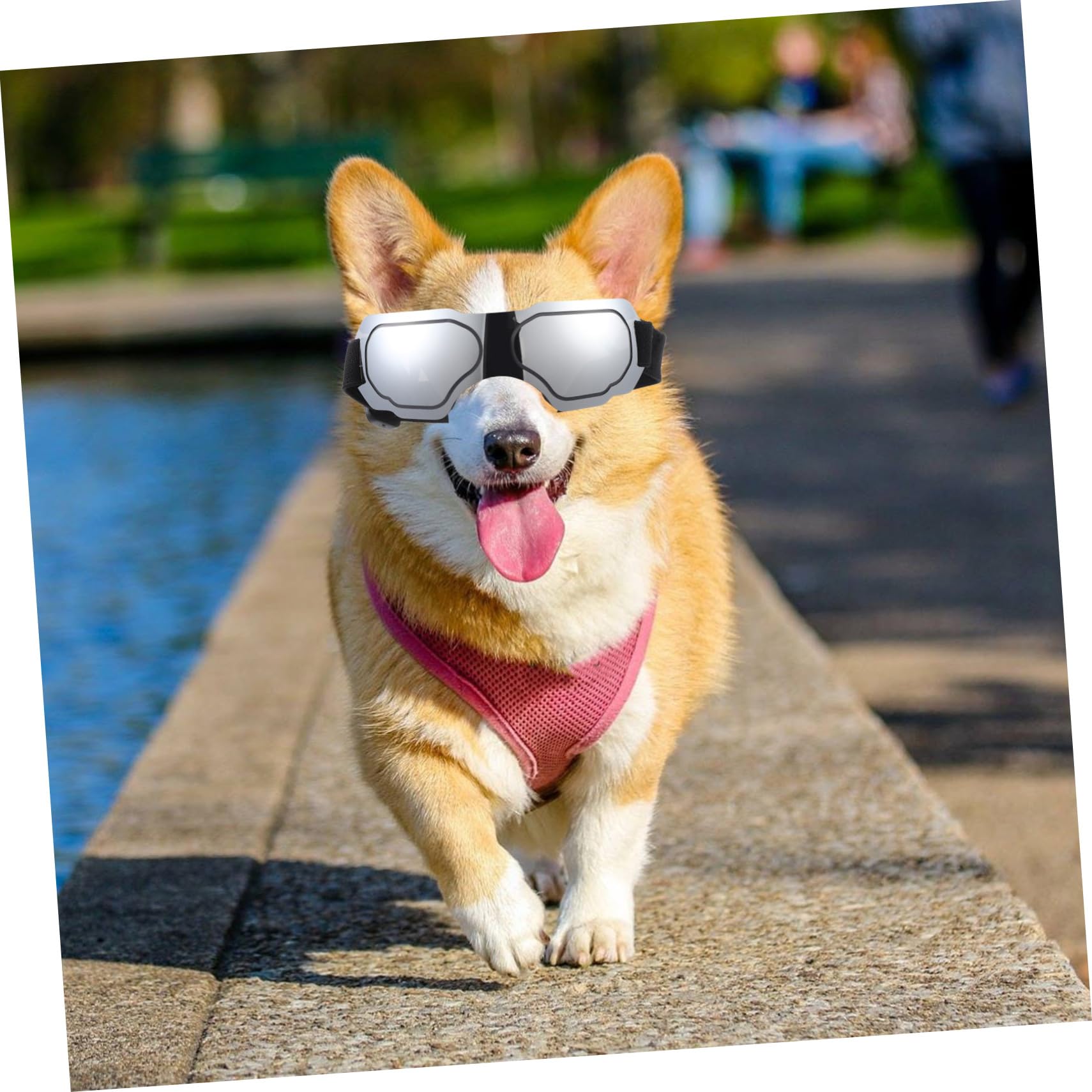 Toddmomy Dog Glasses Uv Party Dog Sunglasses Windproof Puppy Goggles Pet Accessories for Dogs