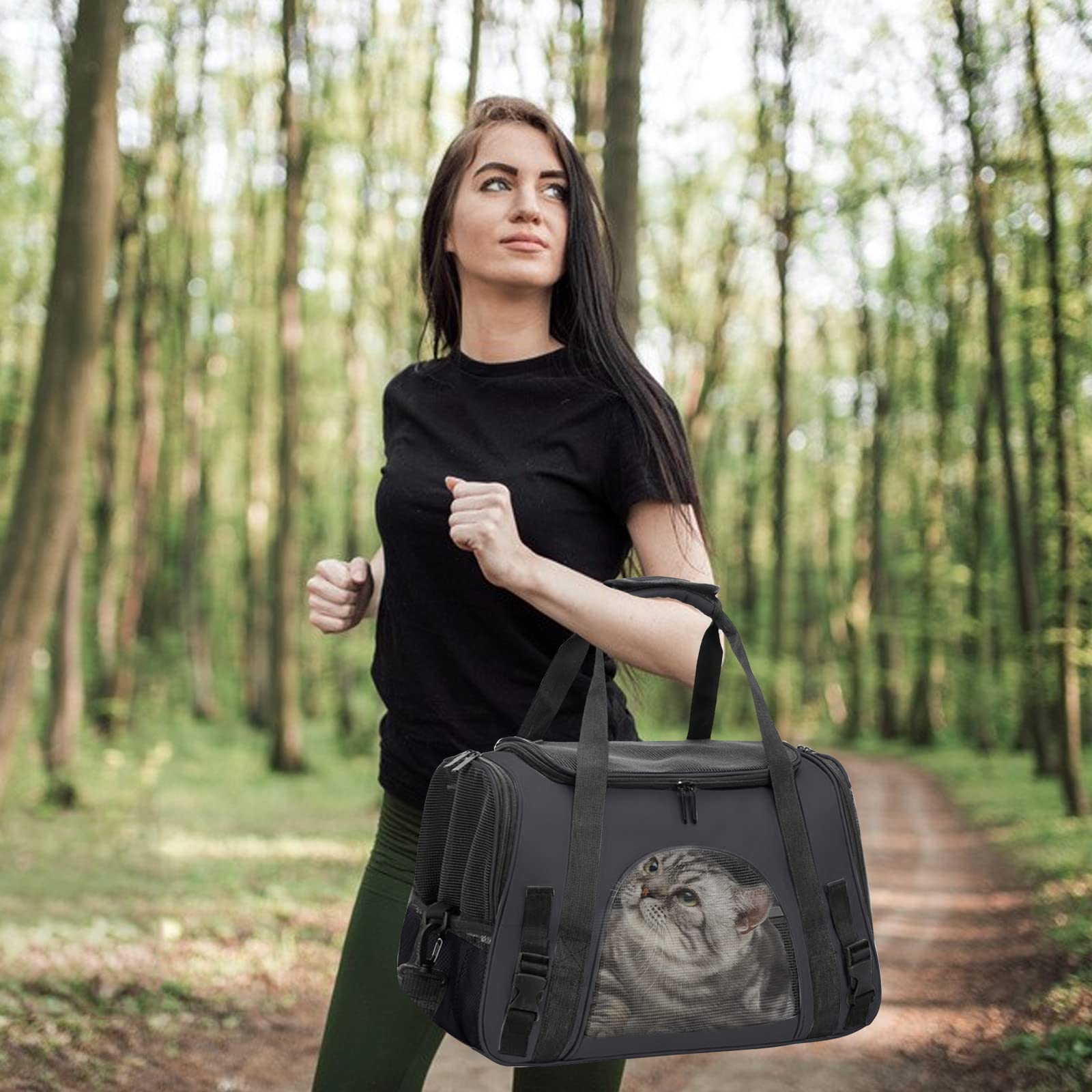 PETCUTE Transportbox für Hunde und Katzen,Faltbare Transporttasche für Katzen Bis 9 kg,Katzentransportbox Hundetragetasche mit Abnehmbarer Matten,Reflektierender Streifen,Schultergurt Verstellbarem