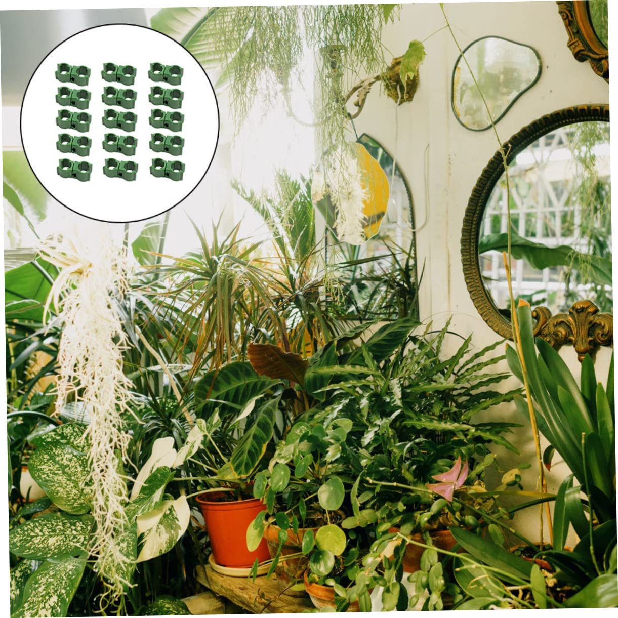 Abaodam 5 Sätze Climbing Plant Support Brackets Pflanzenstütze Klammern Für Gartenarbeit Für Tomaten Und Rankenpflanzen Einfach Zu Bedienen Und Leicht Lösung Für 50 Stück * 5