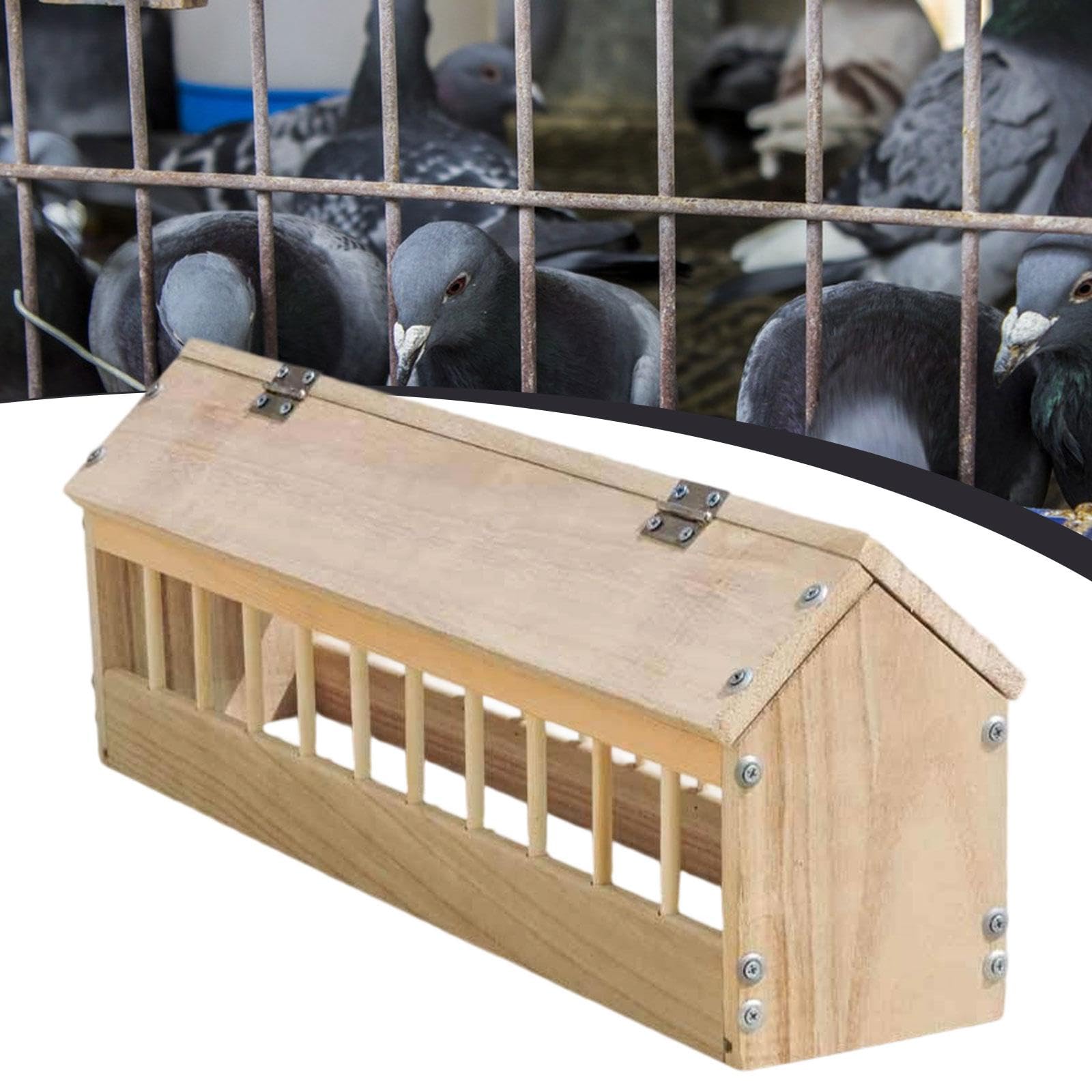 Colcolo Comedero de Madera para Palomas, contenedor dispensador de Comida para Aves, comedero para Palomas, codornices y Granjas, 60cm