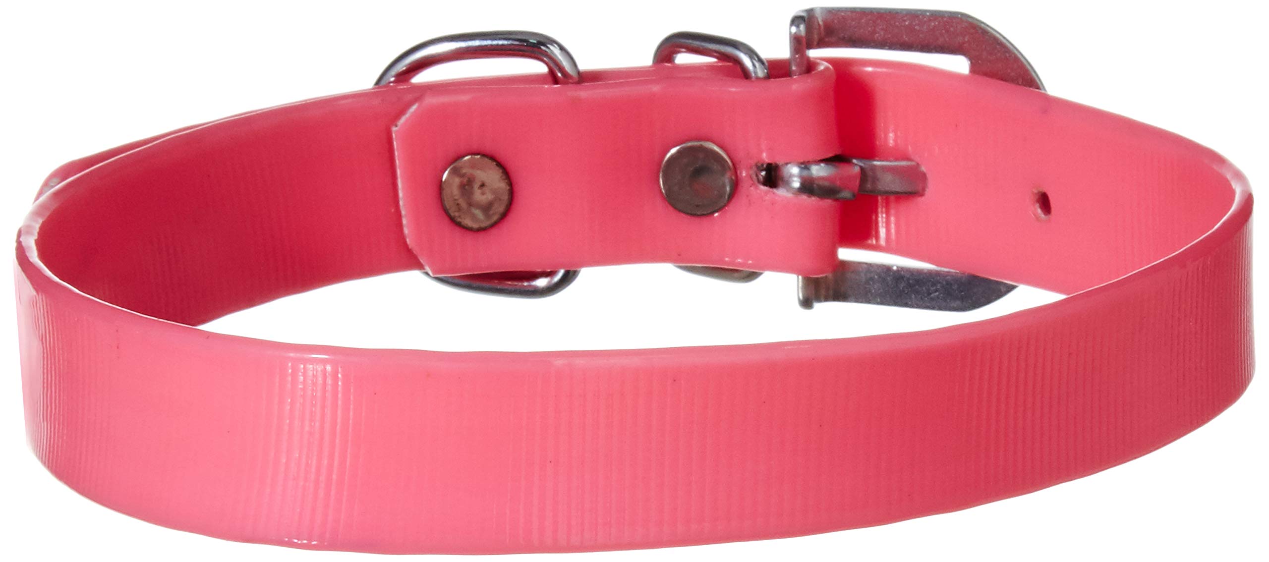 MUNCHOS Shiny PU 1 Inchi Collar (Pink) (B07TP9YRCD) Amazon Price History, Amazon Price Tracker