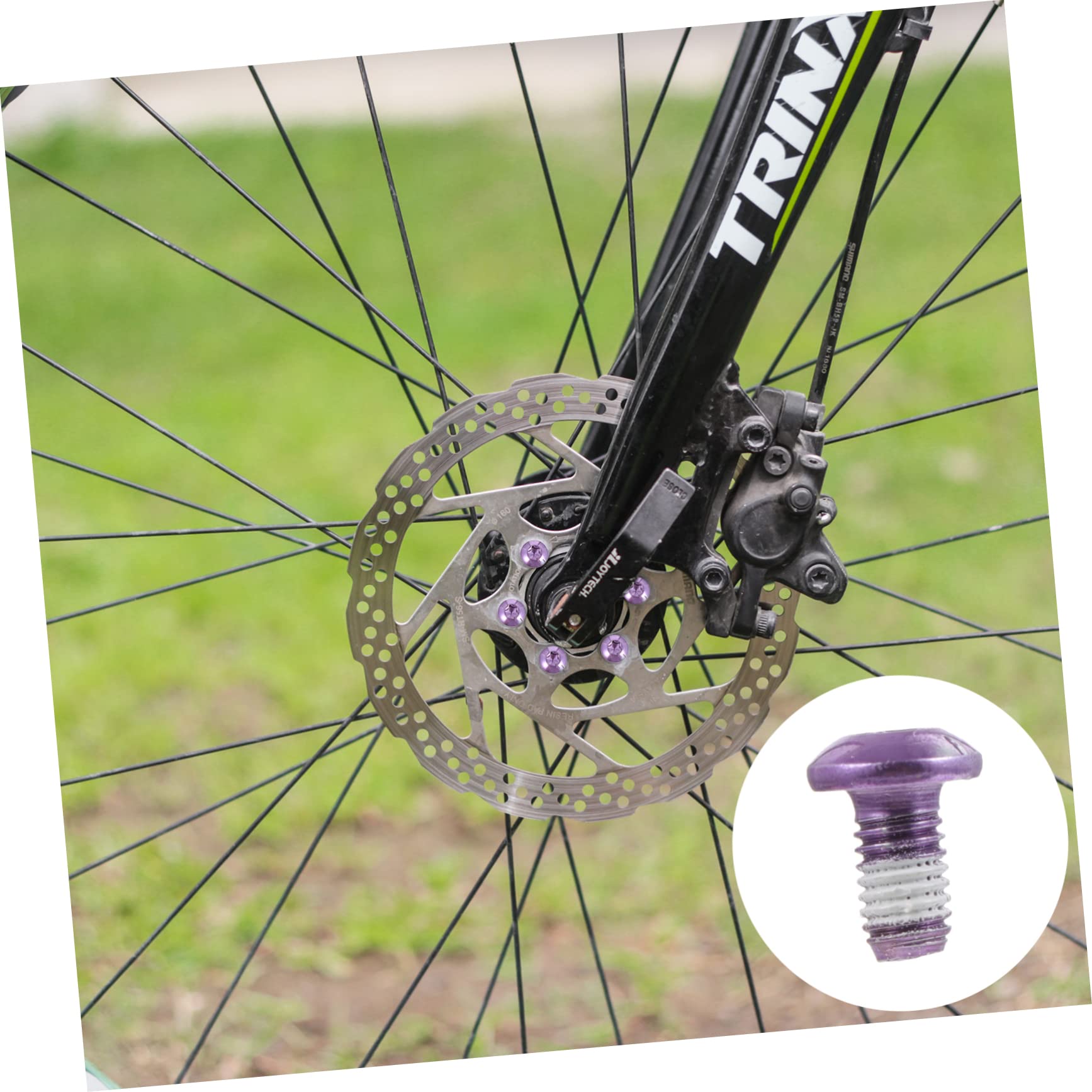 Bulloni Rotore Freno Disco Bicicletta HERCHR | 12 Pezzi | Per MTB, Strada, Acciaio Legato