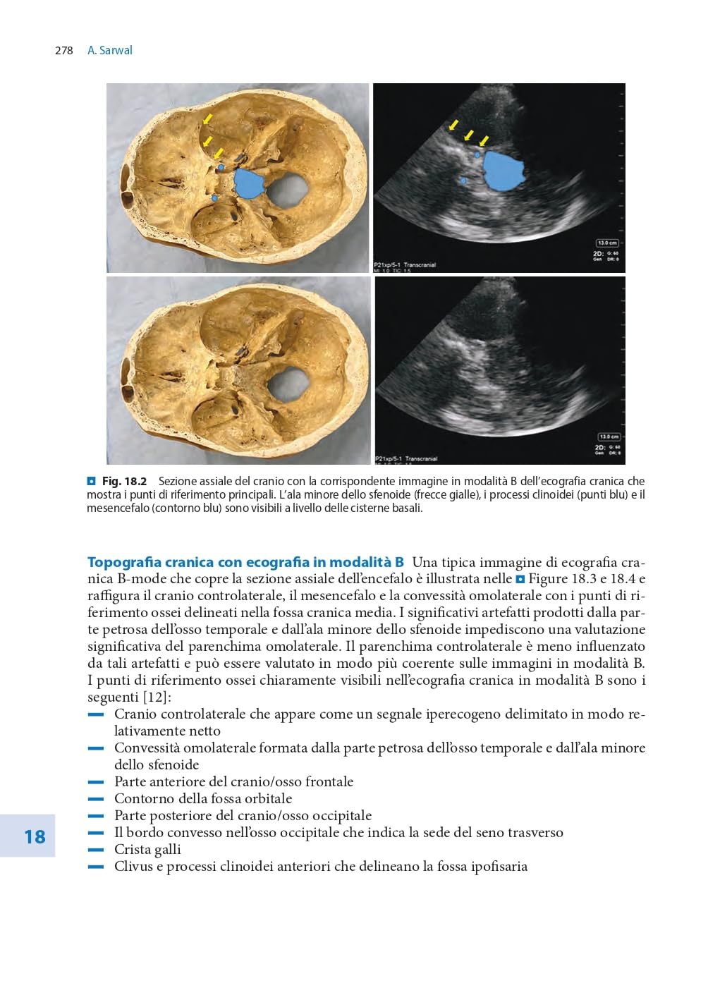 Competenze ecografiche di base per intensivisti