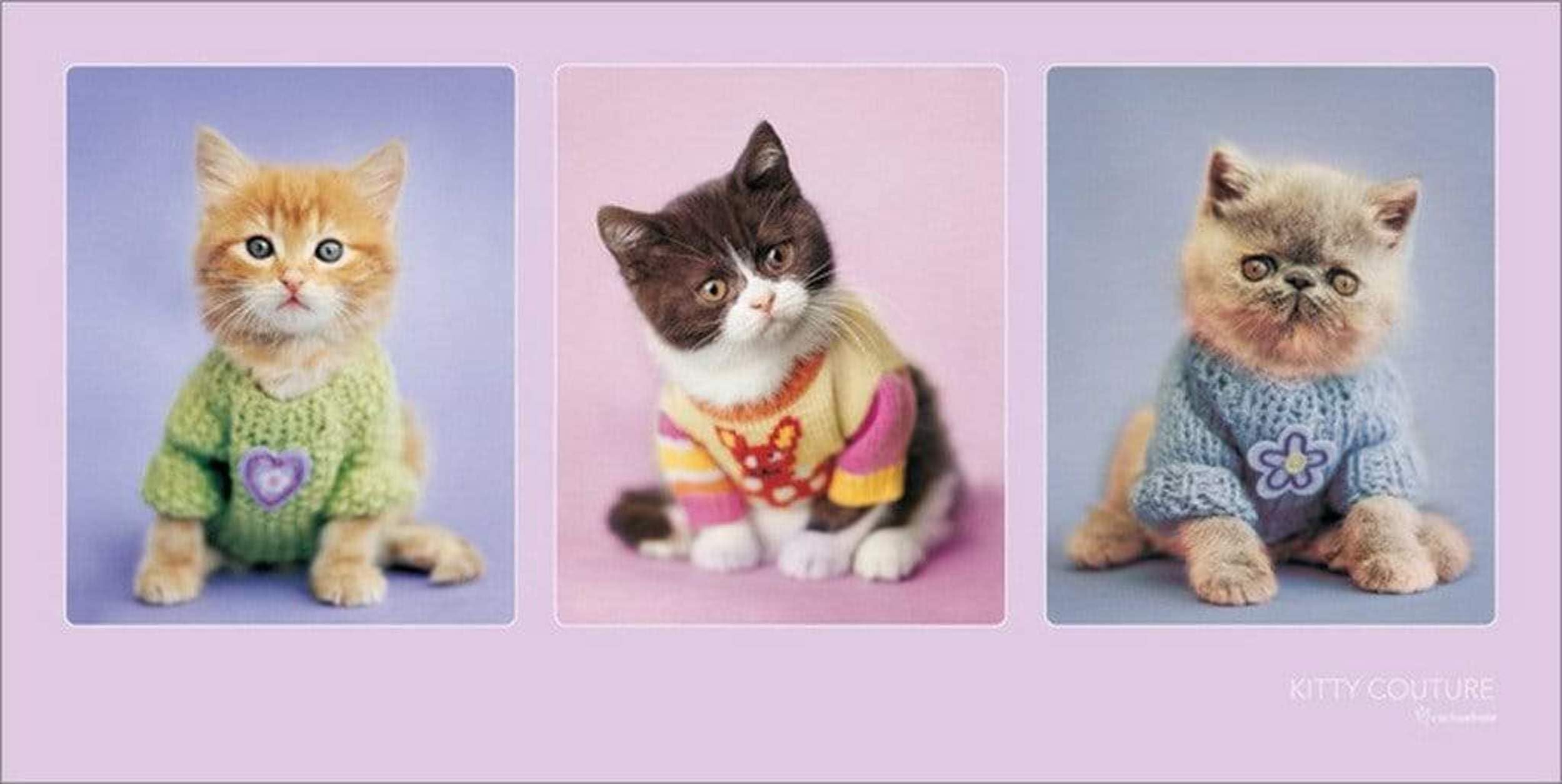 Pyramid International "Kitty Couture Rachael Hale Art Print, Multi-Colour, 50 x 100 x 1.3 cm, 100L x 50W cm