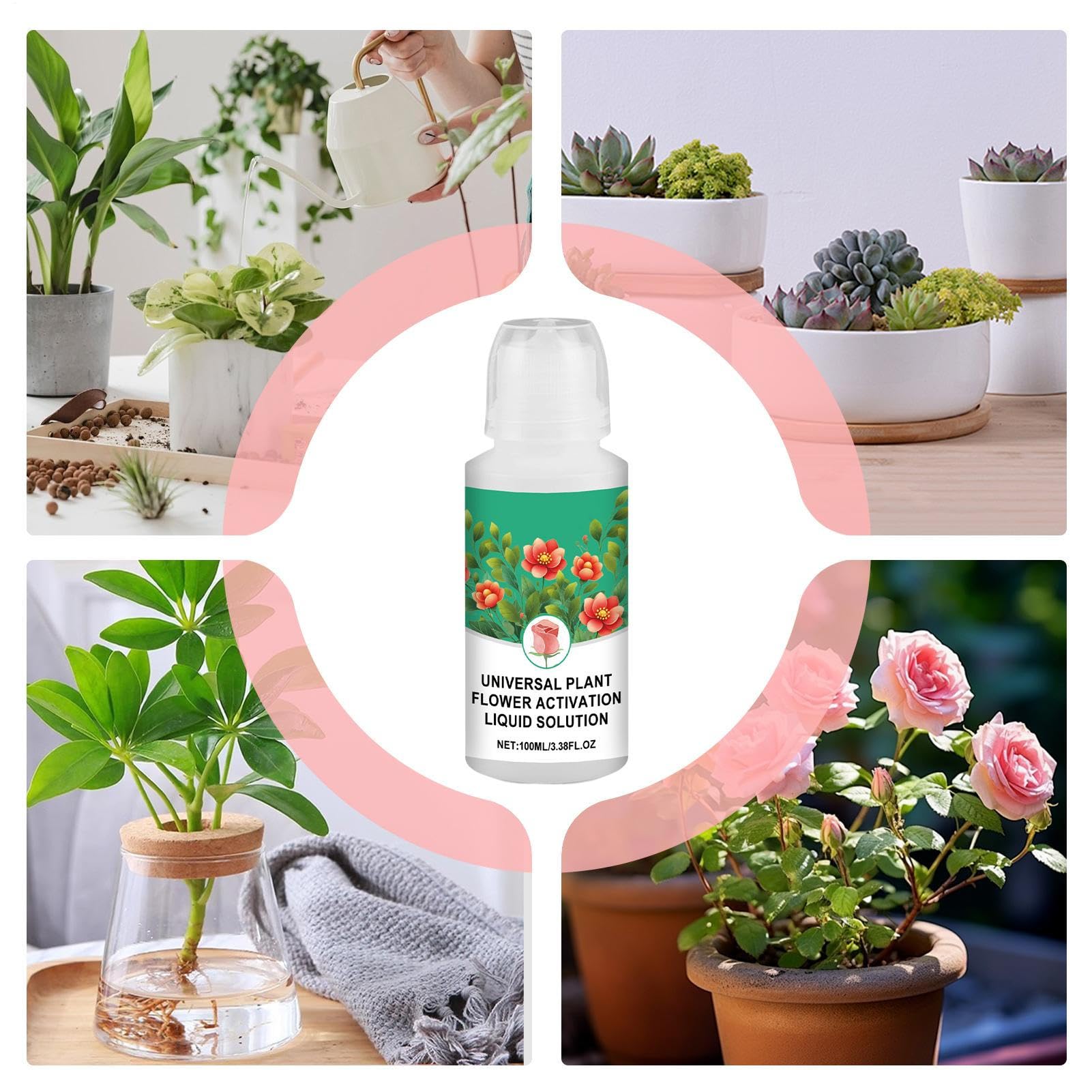 Alimento Para Flores Cortadas | Líquido 100 ml Nutrientes Hidropónicos | Suministros De Jardinería Para Césped Hidroponía Y Vitalidad De Macetas Interior Exterior