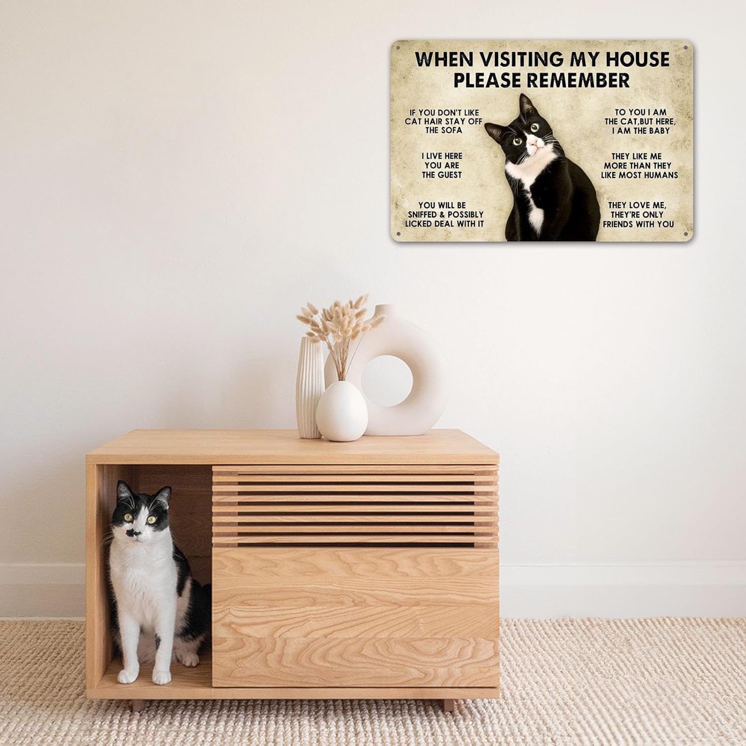 Targa Metallo Con Gatto Nero - Cartello Divertente 'Mantieni Porta Chiusa' 30x20cm - Foto 10