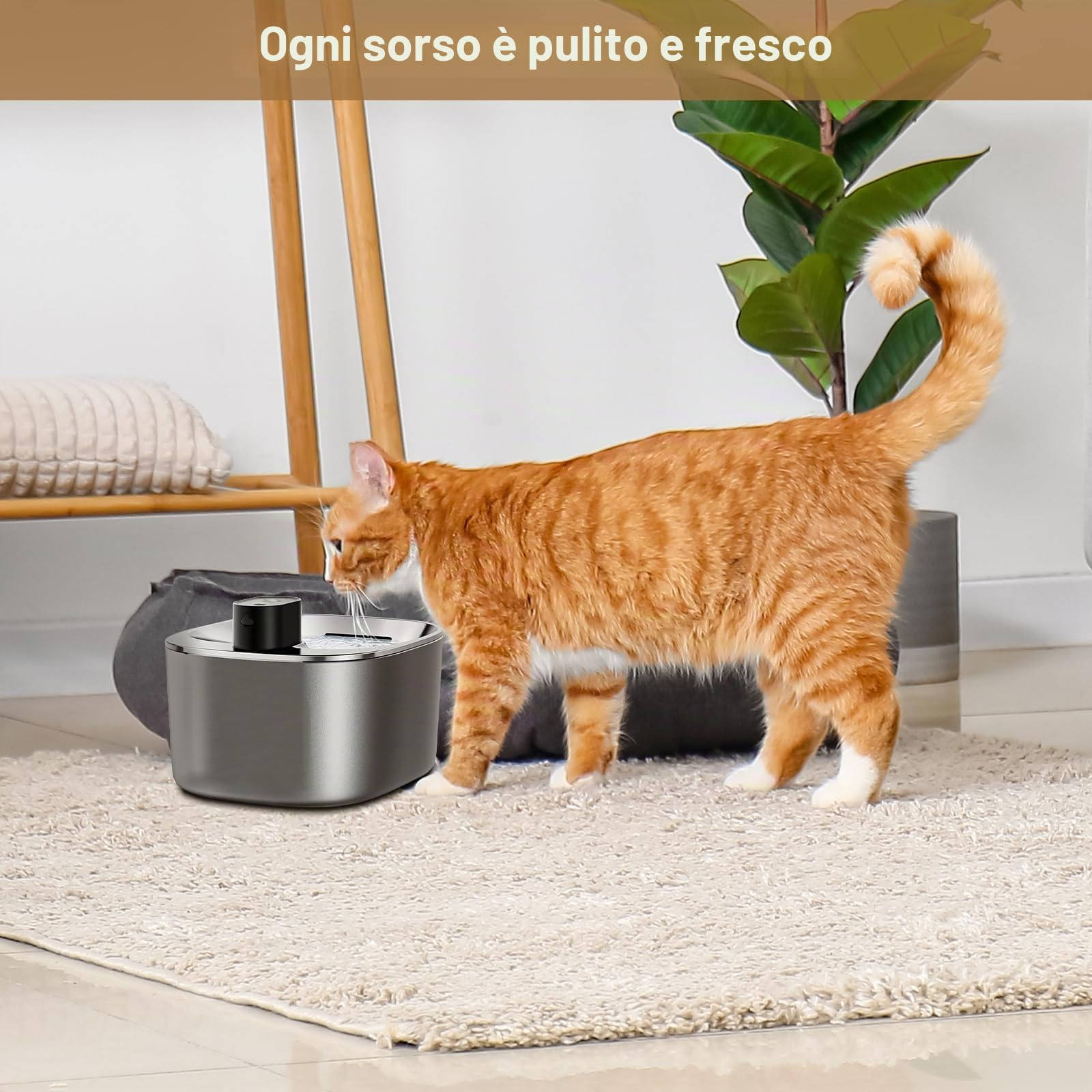 Filtri Fontanella per Gatti, 12 Filtro Fontanella per Gatti per FEELNEEDY 4L Fontana Acqua per Gatti YPD-C004, Comprendere 12 Filtri Fontana Gatto e 12 Spugne Pre-filtrate e 12 Spugnetta per Pompa