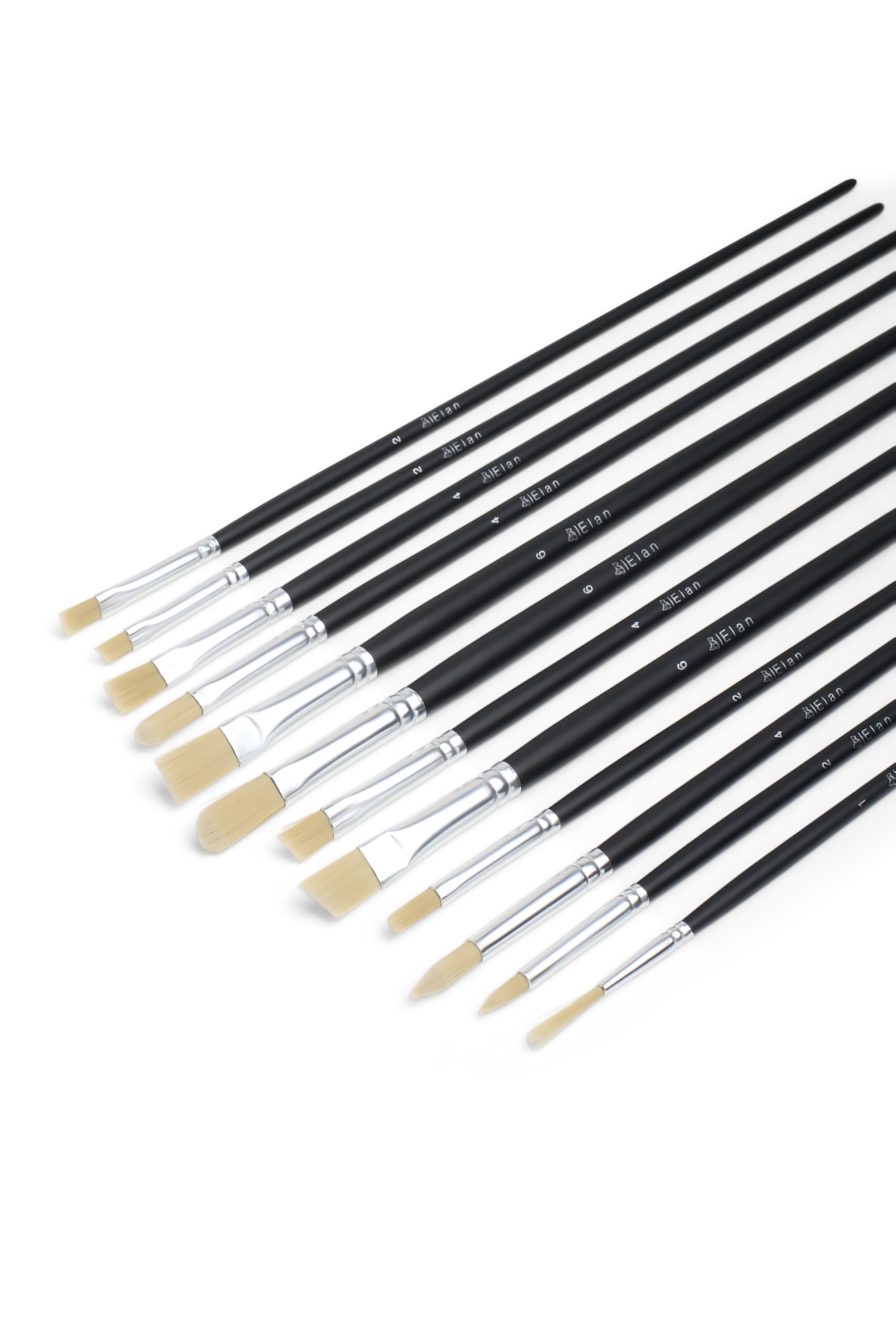 Elan Premium Paint Brush Set, 12 PCS Long Handle Synthetic Hog Brushes with Angled, Filbert, Flat, Liner, and Round Paintbrushes for Oil Painting