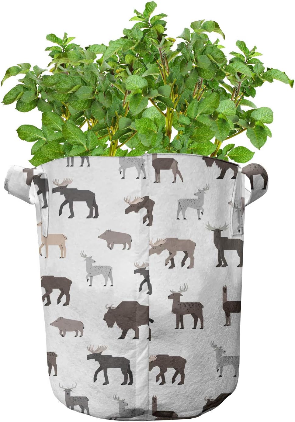 Lunarable Bison Grow Bags 5-Pack, Wild Forest Animals Savannah, Heavyduty Fabric Pots with Handles for Plants, 7 Gallon, Multicolor