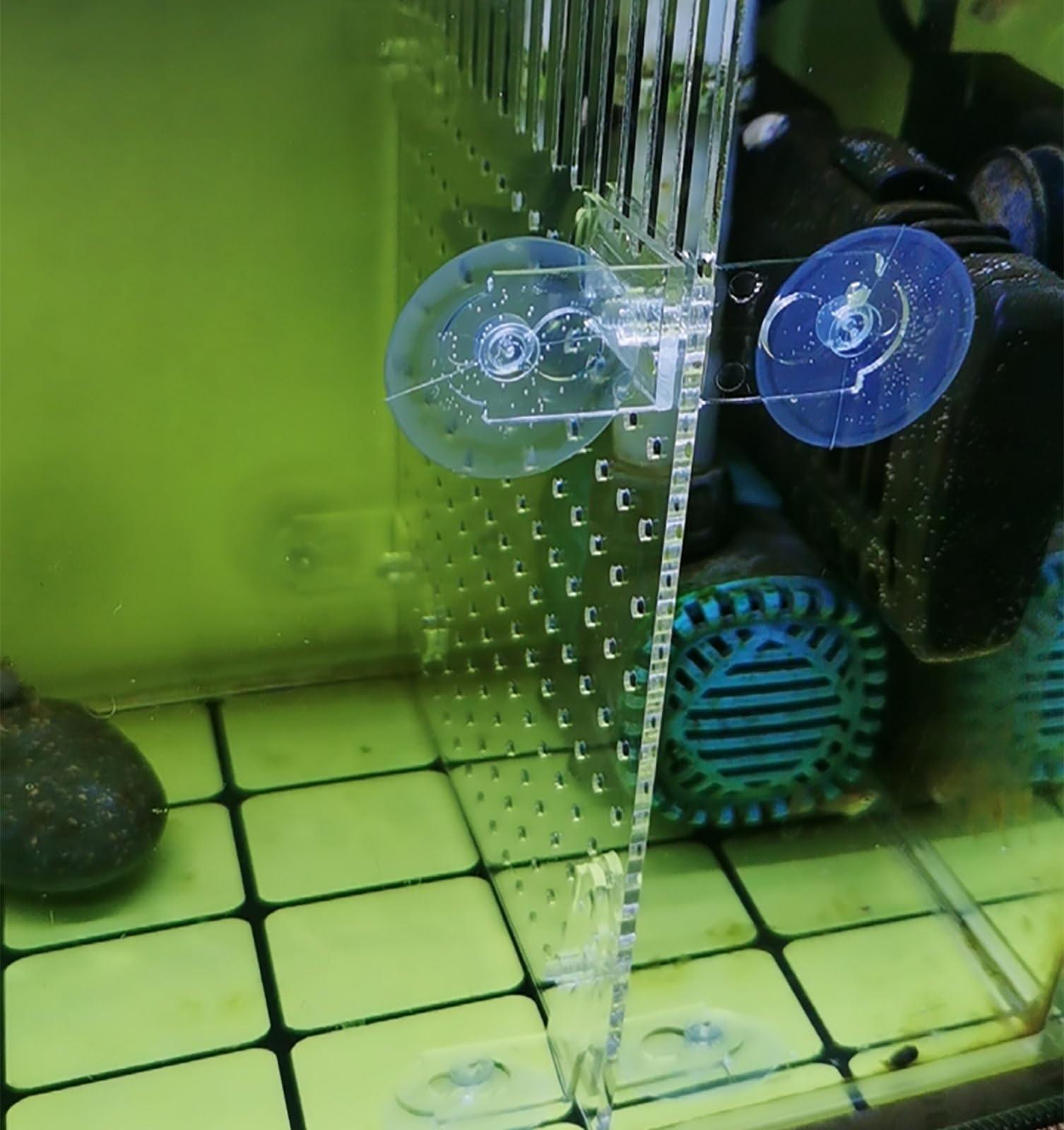 Divisor de Acuario Divisor acrílico transparente para pecera, separador de peces para acuario grande con accesorios para pecera, tablero de rejilla de aislamiento de acuario para peces Betta(38x60cm/1
