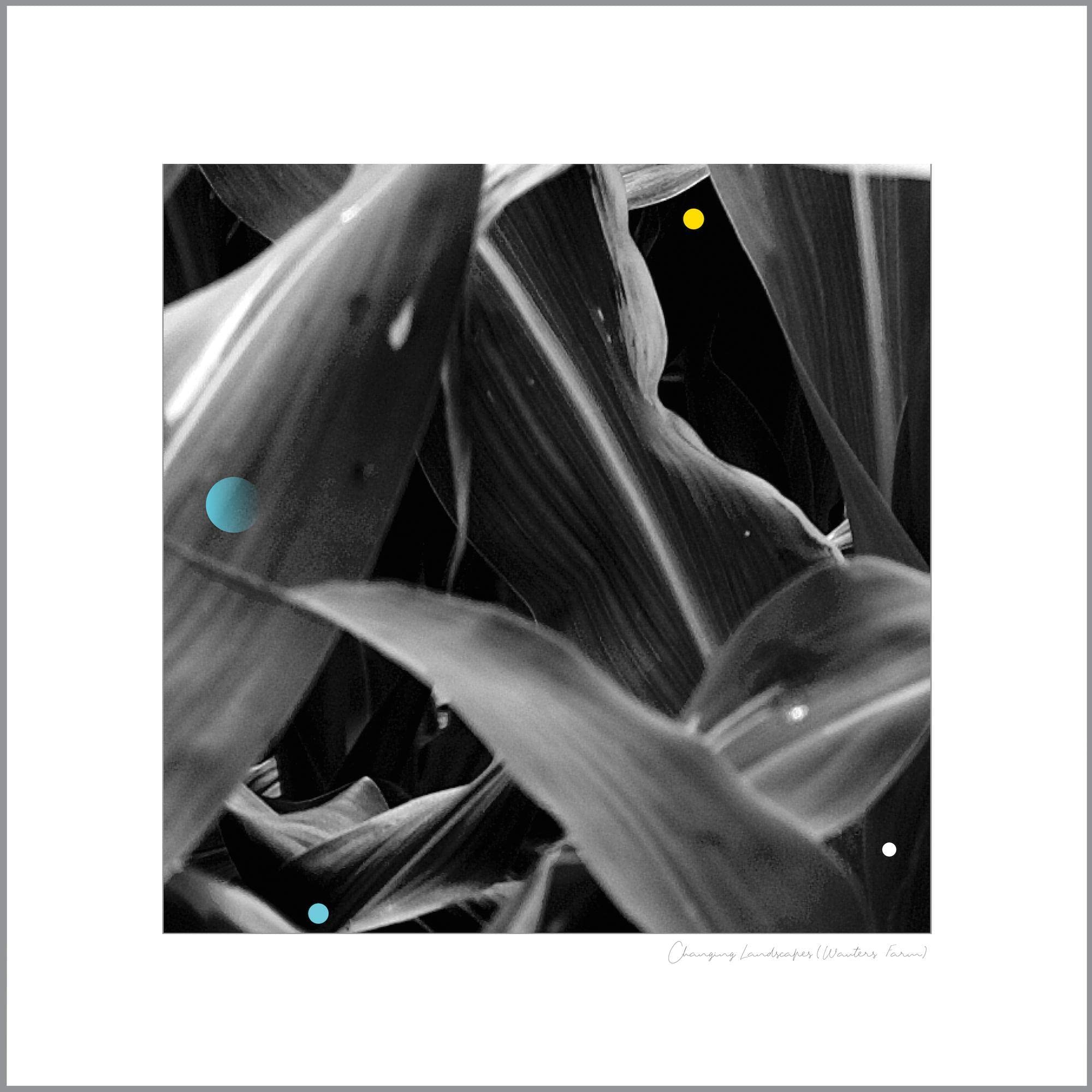 Changing Landscapes (Wauters Farm) [VINYL]