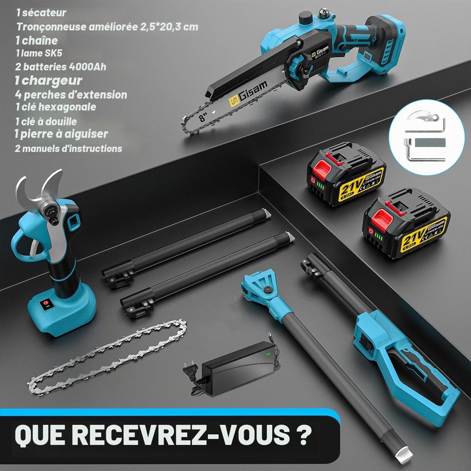 Mini TronçOnneuse Et SéCateur éLectrique 4 En 1 Avec Batterie 2 X 4,0 Ah, Barre D'Extension Jusqu'à 4,2 M, Moteur Sans Balais, Scie D'éLagage éLectrique Pour Branches D'Arbre
