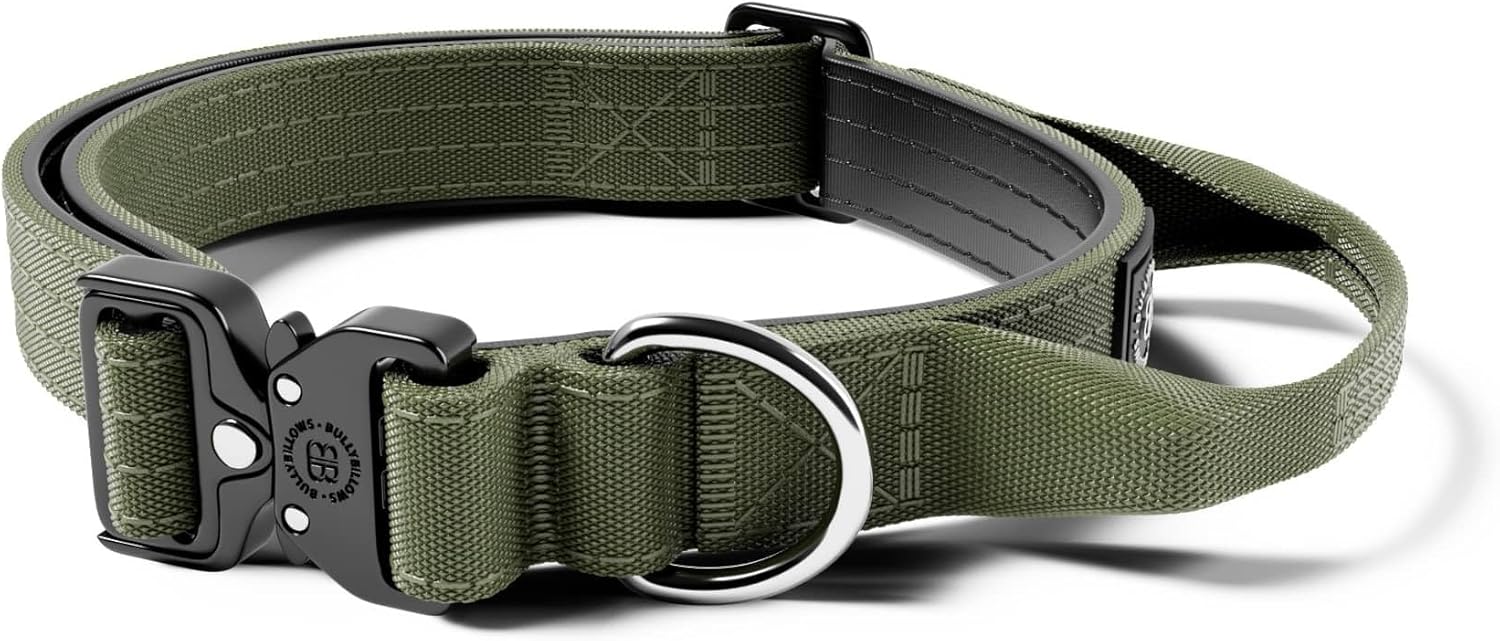 BullyBillows Dog Collar 2.5cm Combat® Collar With Handle & Pressure