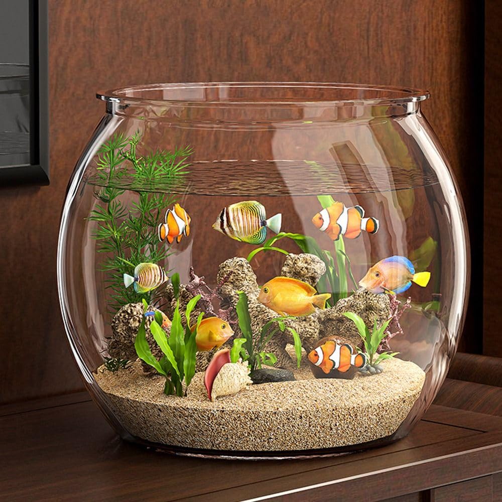 Runde Fischschale, klare Fisch-Aquarien, Heimdekoration, Wassertierbehälter, Hydrokultur-Pflanzenvase für Tisch-Wohnzimmer (M)