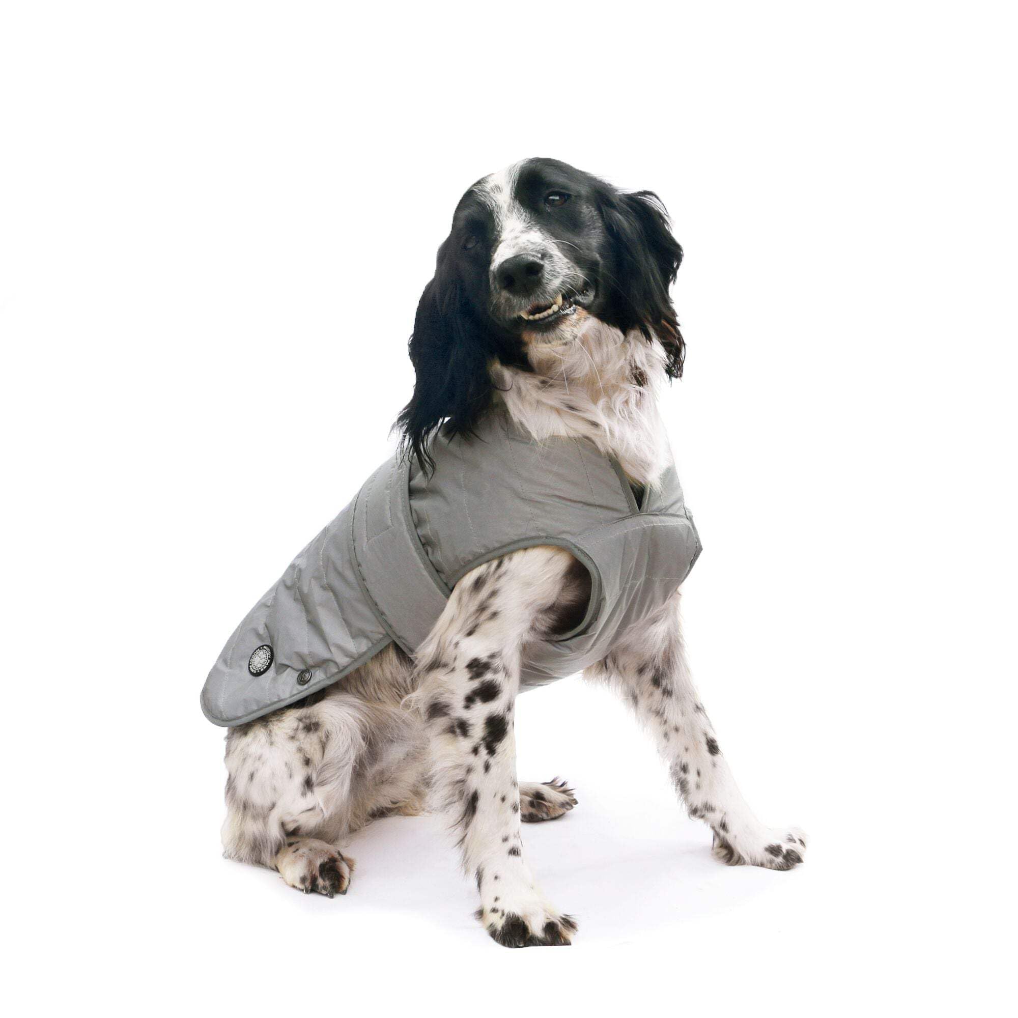 Manteau pour chien réfléchissant argenté taille S/M résout le manque de visibilité la nuit
