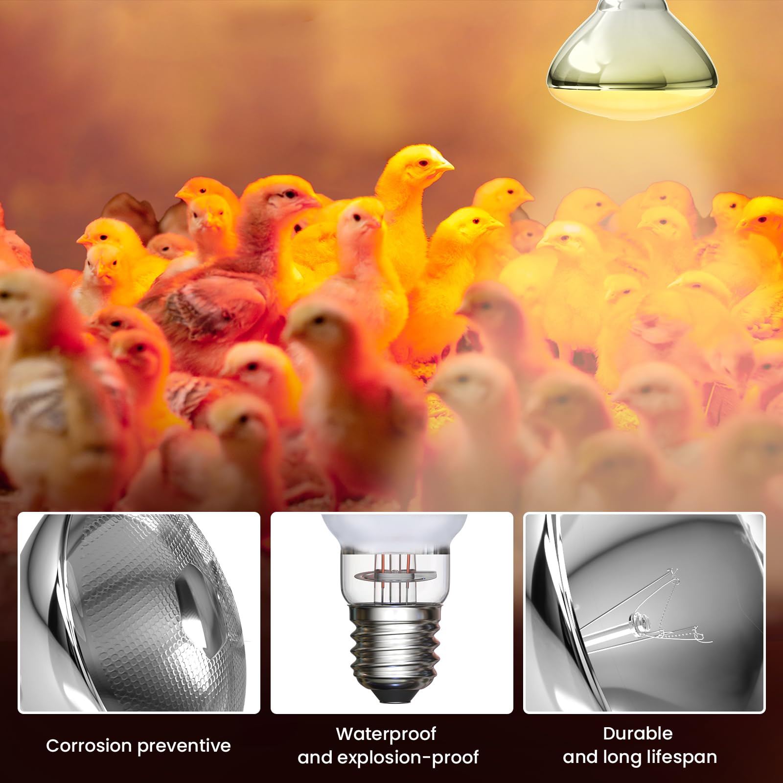 Infrared Heat Lamp Piglet Chicken Brood Bulbs Waterproof Anti-Explosion - View #5