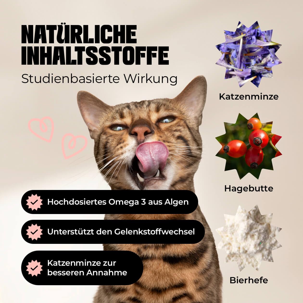 Gelenk Stark Pulver mit Katzenminze 30g - Monatsration - Superfood für Katzen zur Unterstützung des Gelenkstoffwechsels bei Osteoarthritis - Ohne Grünlippmuschel