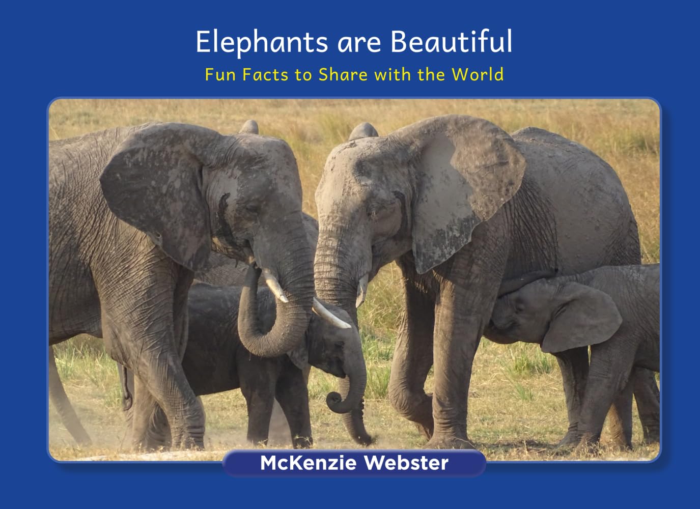 Elephants are Beautiful: Fun Facts to Share with the World