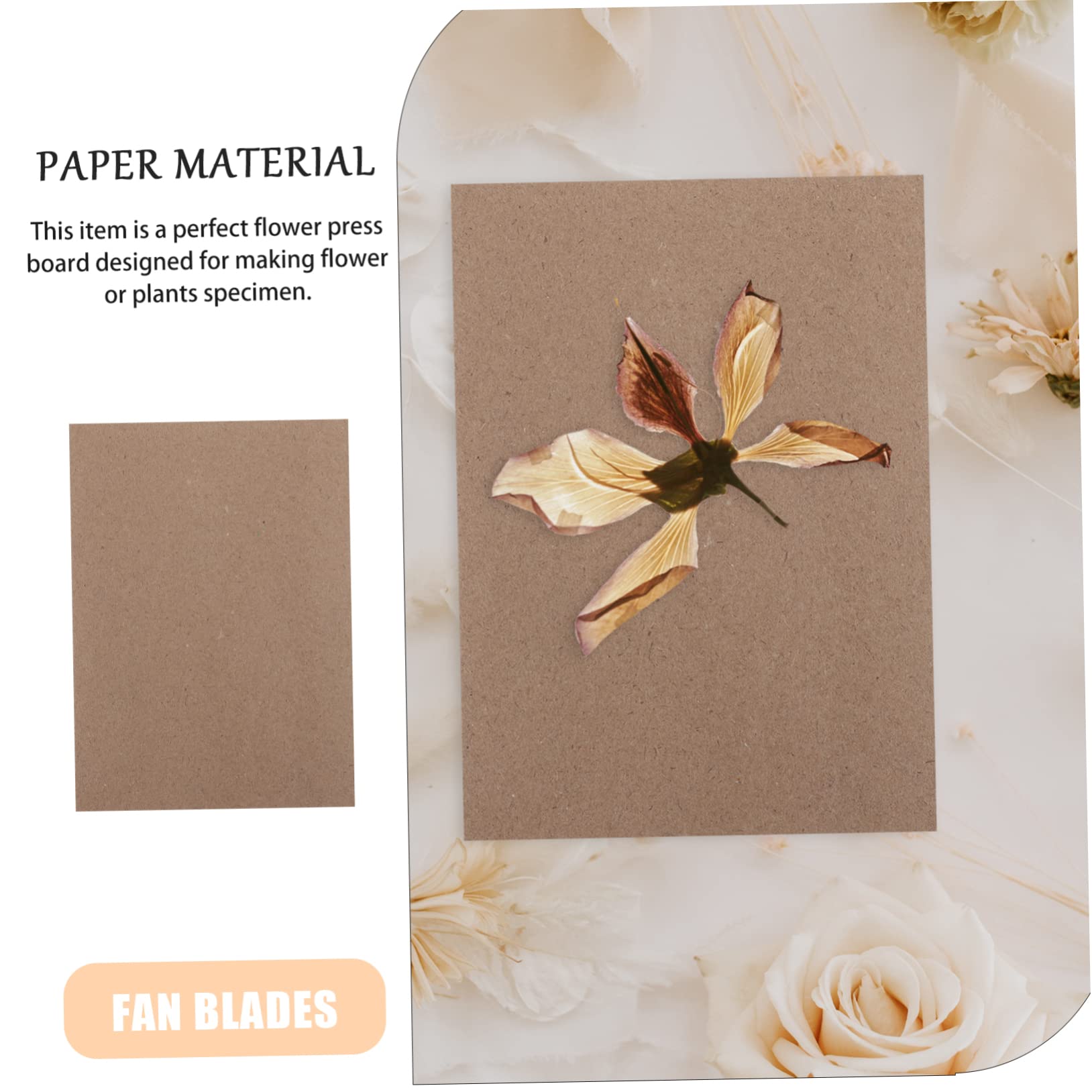 Papier Blumenpressplatten Blatt 6 für Getrocknete Blumen und Pflanzen
