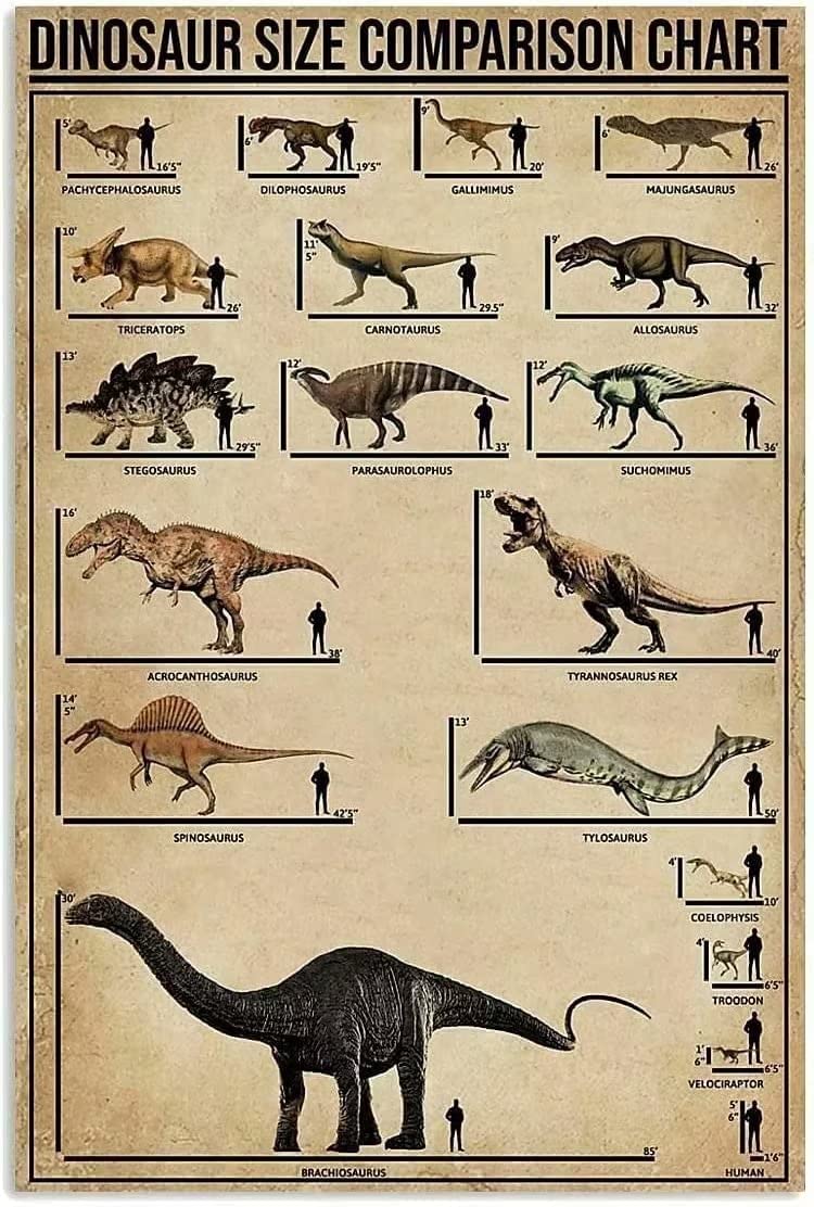 Haosensix Dinosaur Size Comparison Chart Vintage Tin Signs Dinosaur Lovers Knowledge Metal Poster Home Wall Decor Aluminum Sign For Home Bedroom Office Club Cave 12x16 Inch