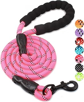 BAAPET 2/4/5/6 FT Dog Leash with Comfortable Padded Handle and Highly Reflective Threads for Small Medium and Large Dogs (5FT