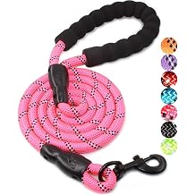 BAAPET Strong Dog Lead with Comfortable Padded Handle and High Reflective Threads for Medium and Large Dogs, 60" 152cm - Blue