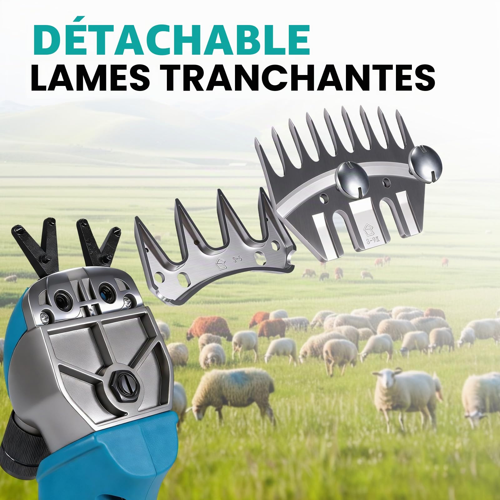 Yofidra Tondeuse à moutons sans fil 800 W - Tondeuse Mouton électrique avec moteur sans balais, 3000 tr/min, 2 batteries de 3000 mAh, griffe réglable, pour moutons, alpagas et chèvres, bleu