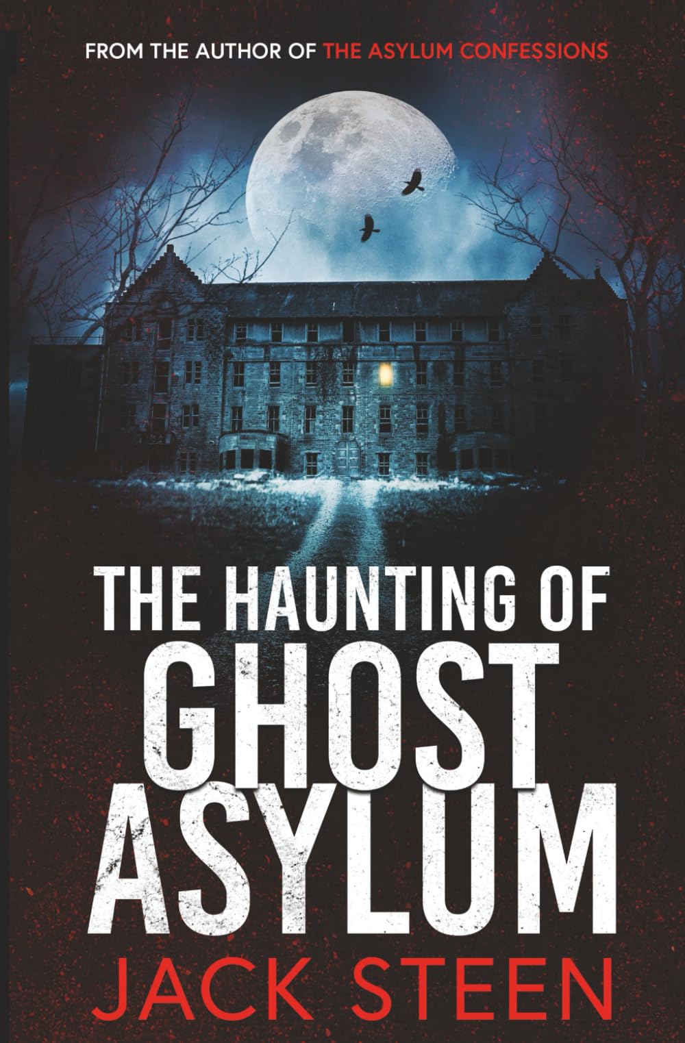 The Haunting of Ghost Asylum: A Haunting Investigation: 1 (The Haunting Series)