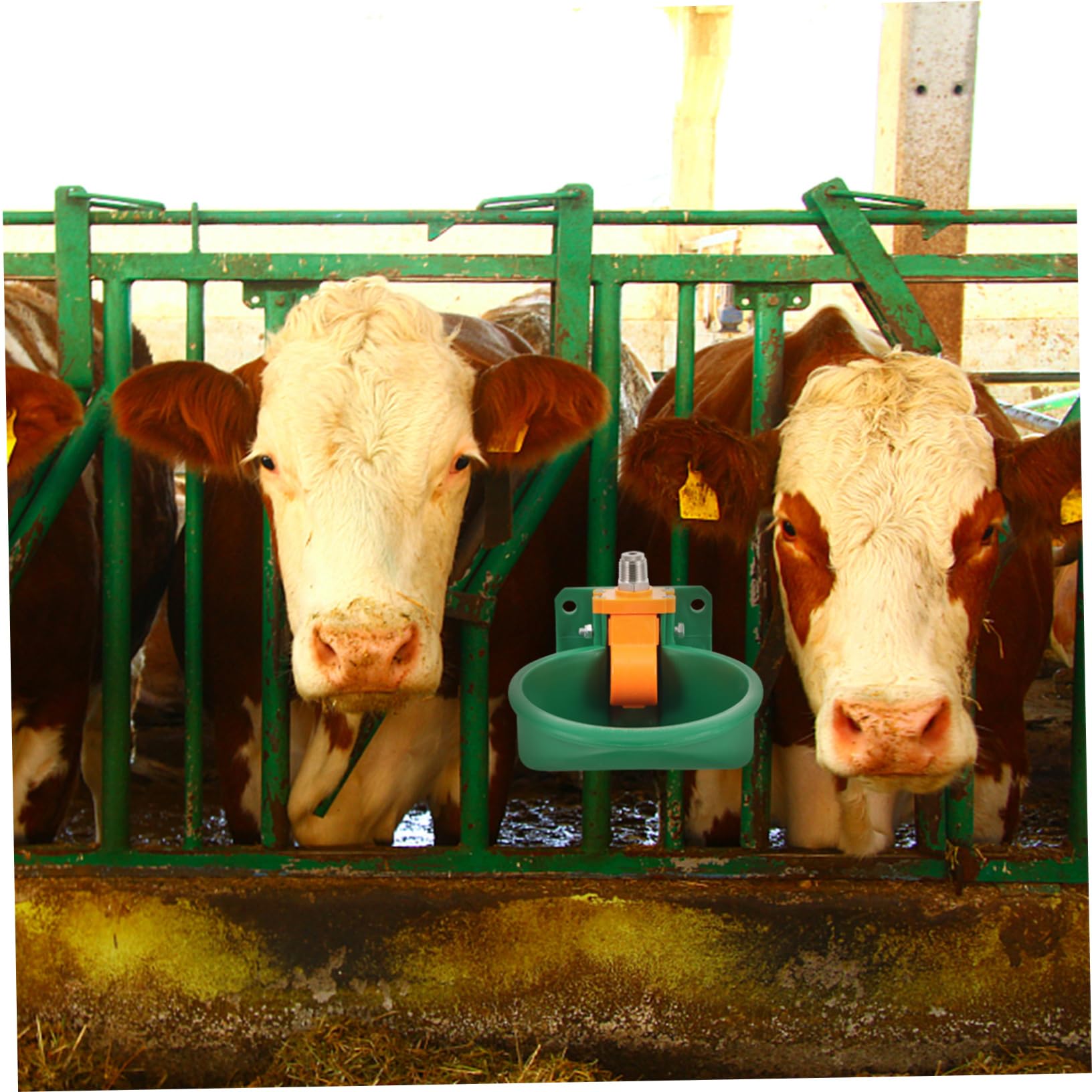 Bebedero Automático de Plástico Resistente para Vacas y Ovejas Gran Capacidad, Superficie Lisa y Larga Duración para Uso en Granjas