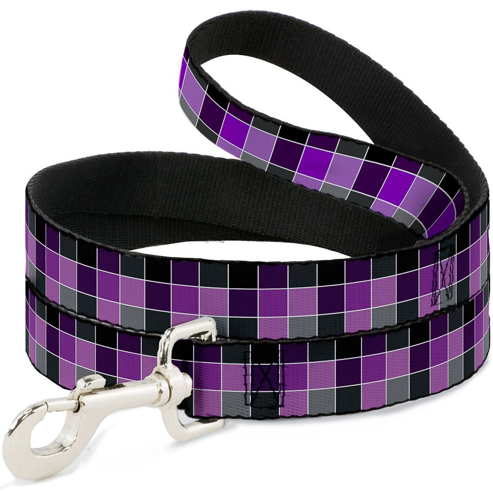 Laisse pour chien au look checker violet Buckle Down pour balades urbaines et parcs