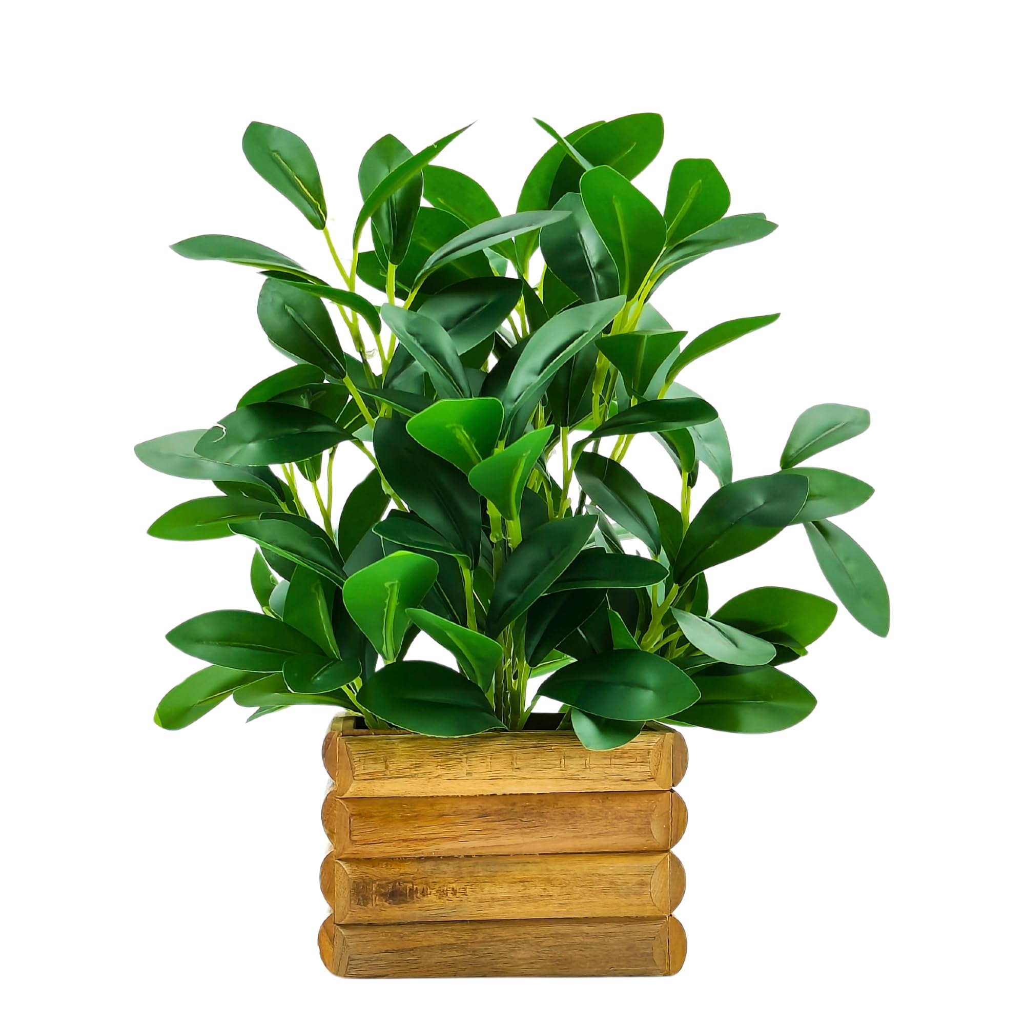fancymart Artificial Rubber Plant in Wooden Pot Perfect Potted Decoration for Home Living Room & Office Spaces Height - 28cm…