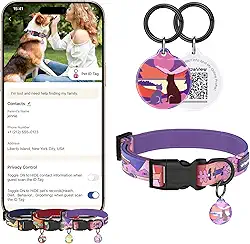 Coleira para Cachorro com Tag ID QR Code, (Aplicativo PawView) Série Tempo, Marinho, Neoprene, XS-L, Sistema de Rastreamento Digital (Por do Sol, P)