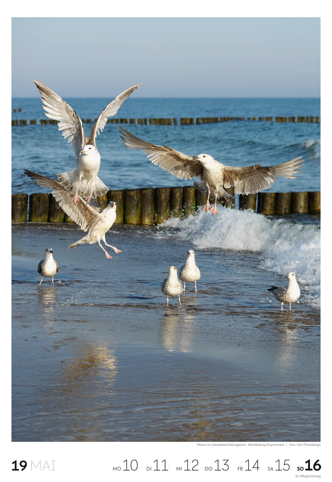Küste Wochenkalender 2027: Meeres-Kalender mit 53 großformatigen Bildern im Hochformat (29x42 cm) | Strände der Ostsee und Nordsee in Deutschland