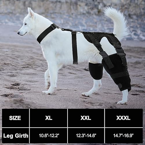 Miniatura 3 de HUAME Rodillera doble para perro, soporte para pierna trasera de ligamento cruzado anterior, rótula luxante, alivia el dolor de artritis y la