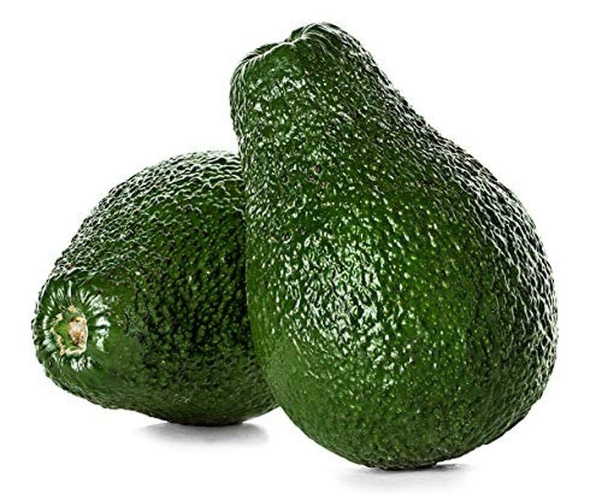 10Stück Avocado Samen Perfekt für Anfänger im Gärtnern