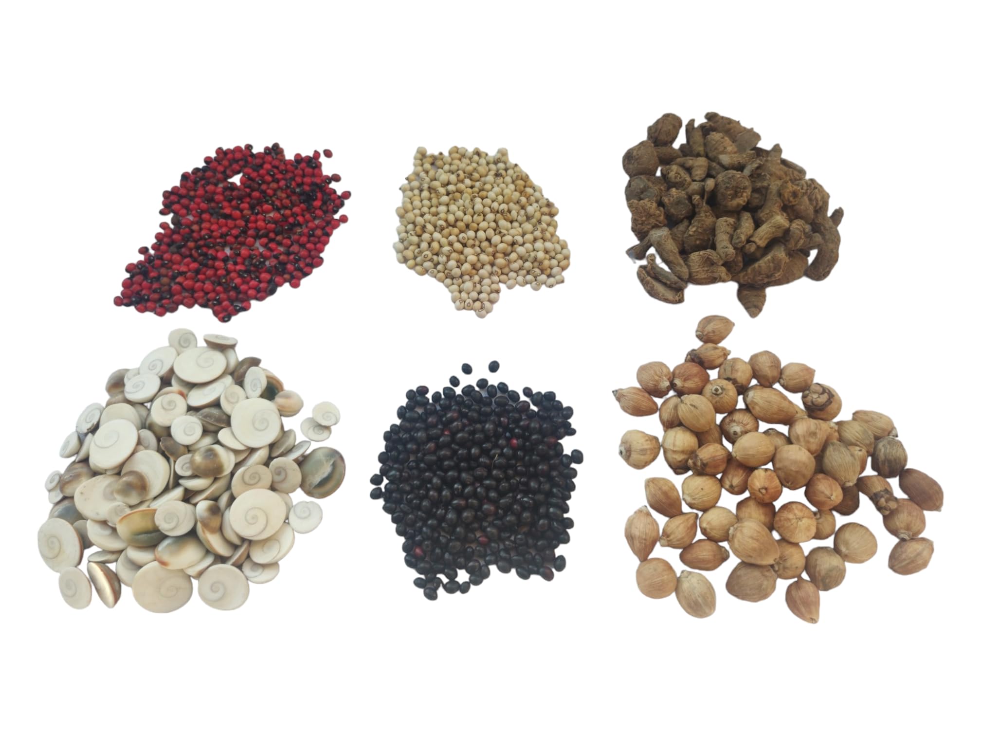 BHAVICREATION Laxmi Puja Set - 11pcs Samgari with Gomati Chakra, Laghu Nariyal, Rakhta & White Gunja, Kali Haldi & MahaLaxmi Puja Set