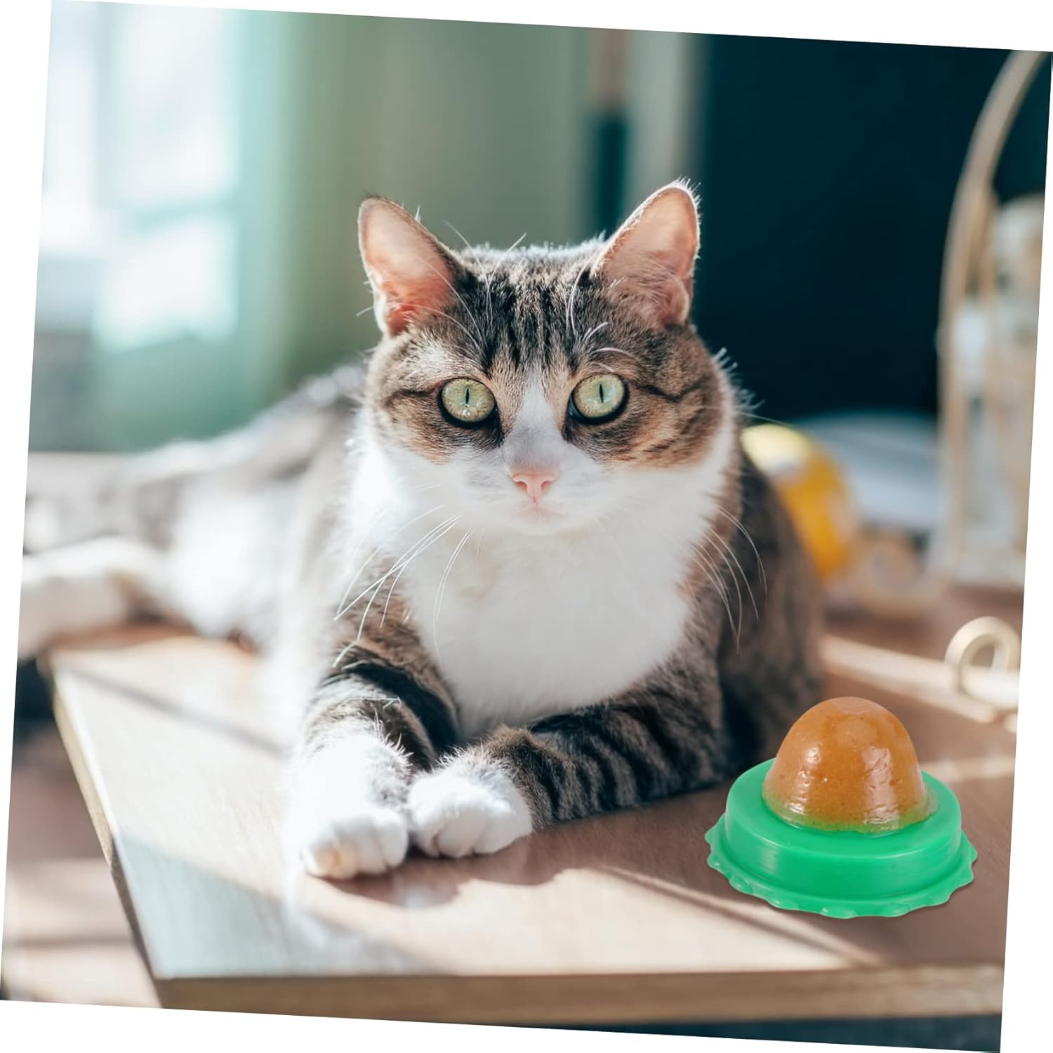 INOOMP 6pcs Cat Lollipop Catnip Vitamins Healthy Cat Treats for Kittens Natural Edible Pudding Snacks Fun and Interactive Random Flavor 9 71 0eHs e2L. AC SL1500