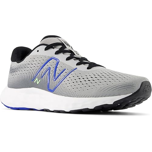 New Balance Men's 520 V8 Running Shoe