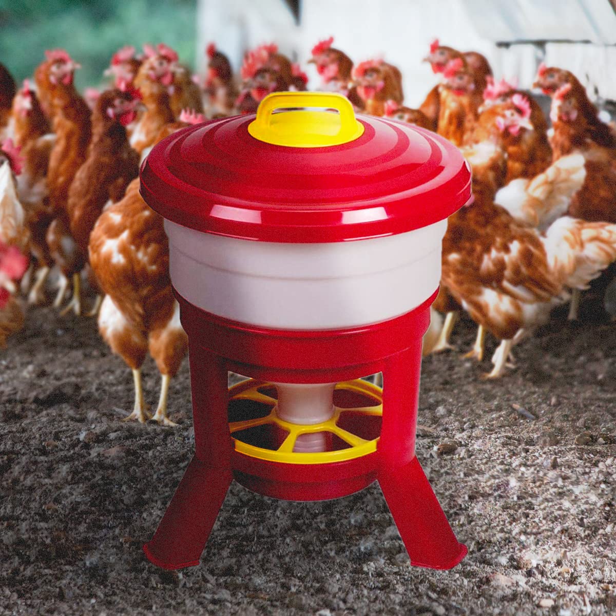Tolva Gallinas silo Premium 30 L - Comedero con Patas para Gallinas - Tolva de Gran Capacidad para Aves de Corral Fabricada en plástico Resistente a la Intemperie