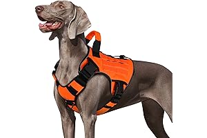 WINGOIN Blaze Orange Tactical Dog Harness for Large Dogs