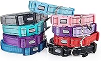 Vista 5 de Collar de nailon reflectante para perro con acolchado de neopreno transpirable, ajustable para perros grandes.